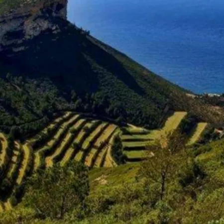 Le Cap Apartamento *